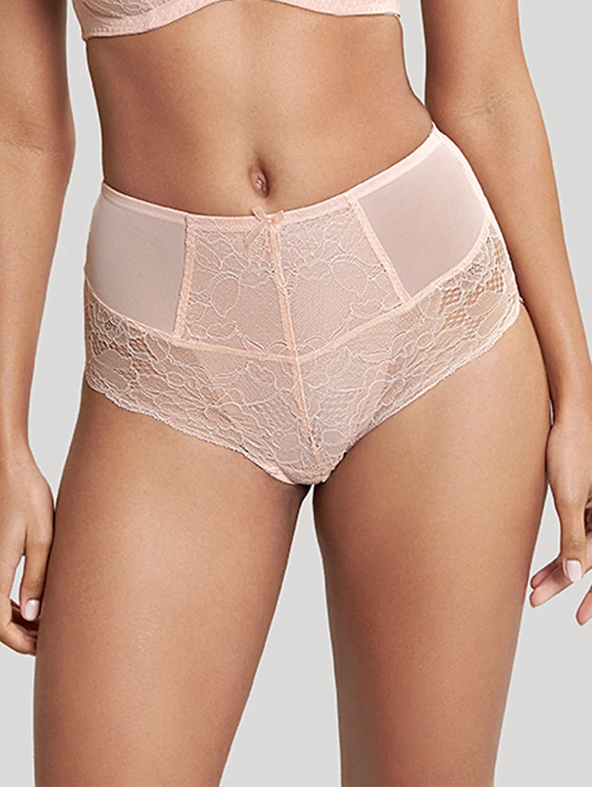 Panache Imogen Hi-Waist Brief 4 Panache Imogen Hi-Waist Brief - Image 2