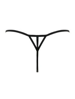Pour Moi India Embroidery Thong -Elomi Underwear Shop 20364IndiaBoldEmbroideryThongBlackBackEdited