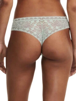 Chantelle Day To Night Thong -Elomi Underwear Shop ChantelleDayToNightThong15F9GreenLilyBack