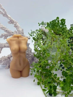 Connection Candle Co. Aria 5.5" Candle - Unscented