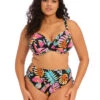 Elomi Tropical Falls Plunge Bikini Top -Elomi Underwear Shop ES801502TropicalFallsPlungeBikiniTopES801573TropicalFallsAdjustableBikiniBriefFrontEdited 69437226 6865 4e33 8599 9cd6c124f796