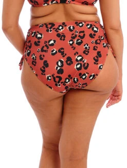 Elomi Kotiya Adjustable Bikini Brief -Elomi Underwear Shop ElomiKotiyaAdjustableBikiniBriefES800973TerracotaBack