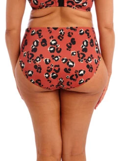 Elomi Kotiya Mid Rise Bikini Brief -Elomi Underwear Shop ElomiKotiyaMidriseBikiniBriefES800972TerracotaBack