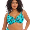 Elomi Swim Kotiya Plunge Bikini Top