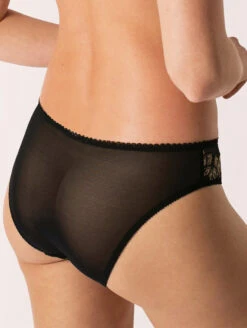 Empreinte Swan Brief -Elomi Underwear Shop EmpreinteSwanBrief03210BlackBack