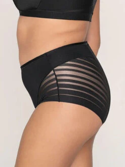 Leonisa Lace Stripe Shaper Panty -Elomi Underwear Shop LeonisaLaceStripeShaperPantyBlack012903SidePlus