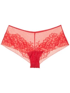 Natori Flora Girl Brief -Elomi Underwear Shop NatoriFloraBriefHibiscus776150Flat