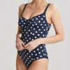 Panache Anya Riva Spot One Piece Swimsuit -Elomi Underwear Shop PanacheSwimAnyaRivaSpot1PieceSwimsuitSW1450Front