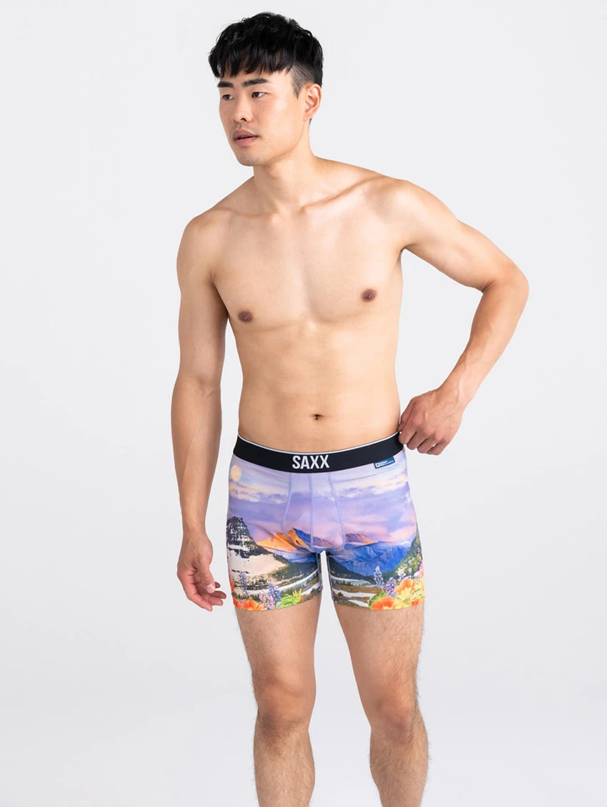 Saxx Volt Boxer Brief 5 Saxx Volt Boxer Brief - Image 3