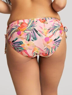 Panache Paradise Drawside Midi Brief -Elomi Underwear Shop SW1636PanacheParadiseDrawsideMidiBikiniBriefPinkTropicalBackEdited
