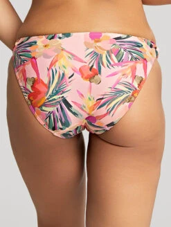 Panache Paradise Classic Bikini Brief -Elomi Underwear Shop SW1639ParadiseCLassicBikiniBriefPinkTropicalBackEdited