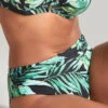 Panache Bali Midi Bikini Brief -Elomi Underwear Shop SW1646BaliMidiBriefPalmPrintFrontEdited