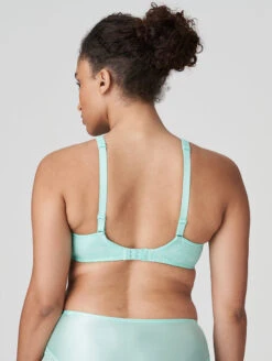 PrimaDonna Twist Epirus Plunge Bra -Elomi Underwear Shop 0141974PrimaEpirusHalfPaddedPlungeBraMiamiMintBack