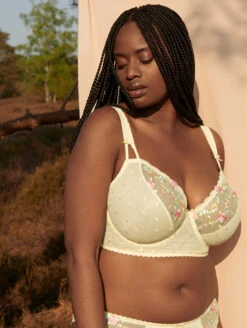 PrimaDonna Sedaine Longline Plunge Bra