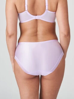 PrimaDonna Palace Garden Full Brief 7 PrimaDonna Palace Garden Full Brief -Elomi Underwear Shop 0563211PalaceGardenFullBriefPastelLavenderBackEdited