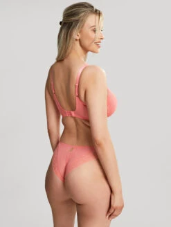 Cleo Alexis Plunge Bra -Elomi Underwear Shop 10471AlexisBalconnetBra10472BrazilianBriefSunkissCoralBackEdit 965aaab1 7655 4298 953f 283ad303dfc6