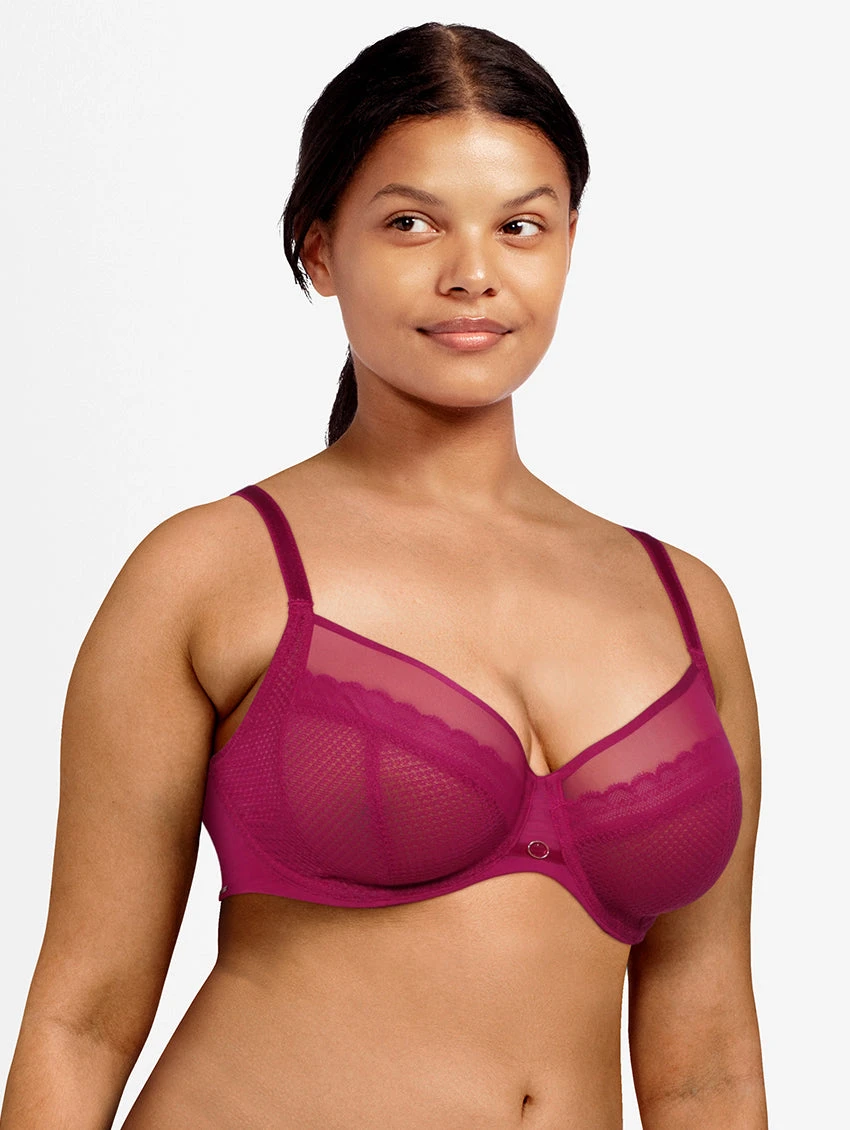 Chantelle Allure Plunge Bra 7 Chantelle Allure Plunge Bra - Image 5