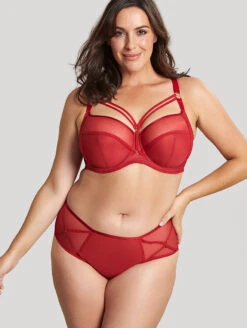 Sculptresse Dionne Bra -Elomi Underwear Shop 9695DionneStrappyBra9694DionneMidiBriefFieryRedFront