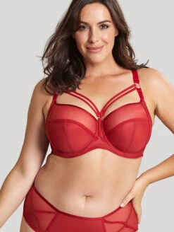 Sculptresse Dionne Bra -Elomi Underwear Shop 9695DionneStrappyBraFieryRedFront