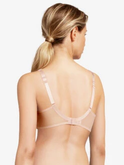 Chantelle Chic Essential T-Shirt Bra -Elomi Underwear Shop C16G7Tshirtbraback2