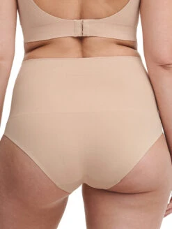 Chantelle Smooth Comfort Brief -Elomi Underwear Shop ChantelleSmoothComfortHighWaistFullBrief10U7SiroccoBack