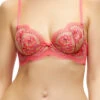 Dita Von Teese Evelina Bra -Elomi Underwear Shop DitaVonTeeseEvelinaBraBloodOrangeD59023Front