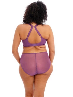 Elomi Charley Plunge Bra -Elomi Underwear Shop EL4382ElomiCharleyPlungeBraEL4386ElomiCharleyHighLegBriefPansyBackEdited ba6ce140 781c 403b b051 22ddc2899562