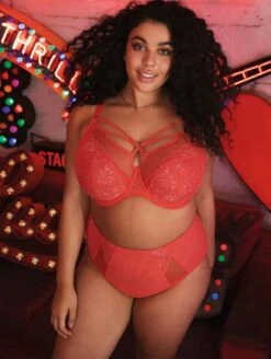 Elomi Brianna Strappy Plunge Bra -Elomi Underwear Shop ElomiBriannaPlungeBraEL8080FullBriefEL8085CayenneFront