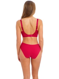 Fantasie Envisage Brief -Elomi Underwear Shop FL6912EnvisageMouldedSpacerBraFL6915BriefRaspberryBackEdited