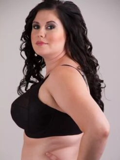 Goddess Alice Bra -Elomi Underwear Shop GD GD6041 13 Edit