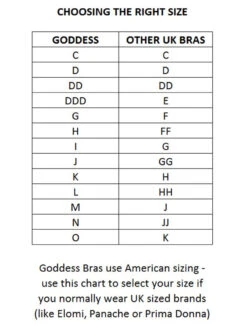 Goddess Celeste Soft Cup Bra -Elomi Underwear Shop Goddess Alice Bra S 4 44a95657 6bd5 41cc acfa f6c6e20ef3f6