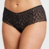 Montelle Lacy Essentials Brazillian -Elomi Underwear Shop MontelleLacyEssentialsBrazilianBlack9305Front