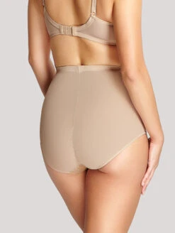 Panache Envy Shaping Brief -Elomi Underwear Shop Panache Envy Shaping Brief S 4