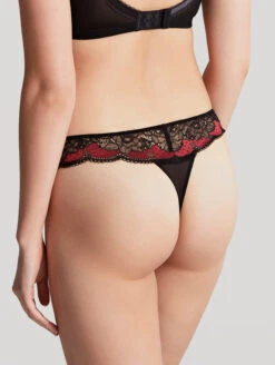 Panache Clara Thong 9 Panache Clara Thong -Elomi Underwear Shop PanacheClaraThongNoirRuby7259Back