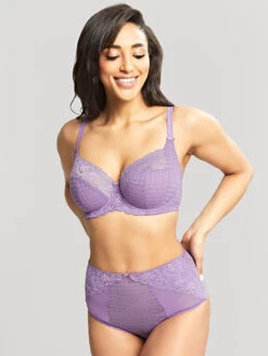 Panache Envy Deep Brief -Elomi Underwear Shop PanacheEnvyBraViolet7285Set 04e46866 a980 4315 8a5e be57c2d0e40a