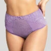 Panache Envy Deep Brief -Elomi Underwear Shop PanacheEnvyDeepBriefViolet7283Front