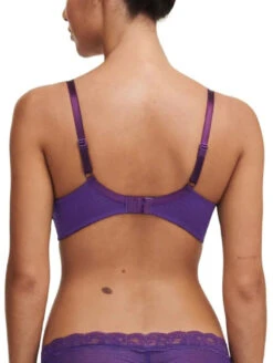 Passionata Brooklyn Plunge Bra -Elomi Underwear Shop PassionataBrooklynPlungeBra5701PansyBack